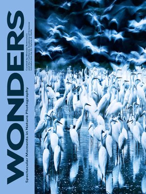 cover image of Wonders